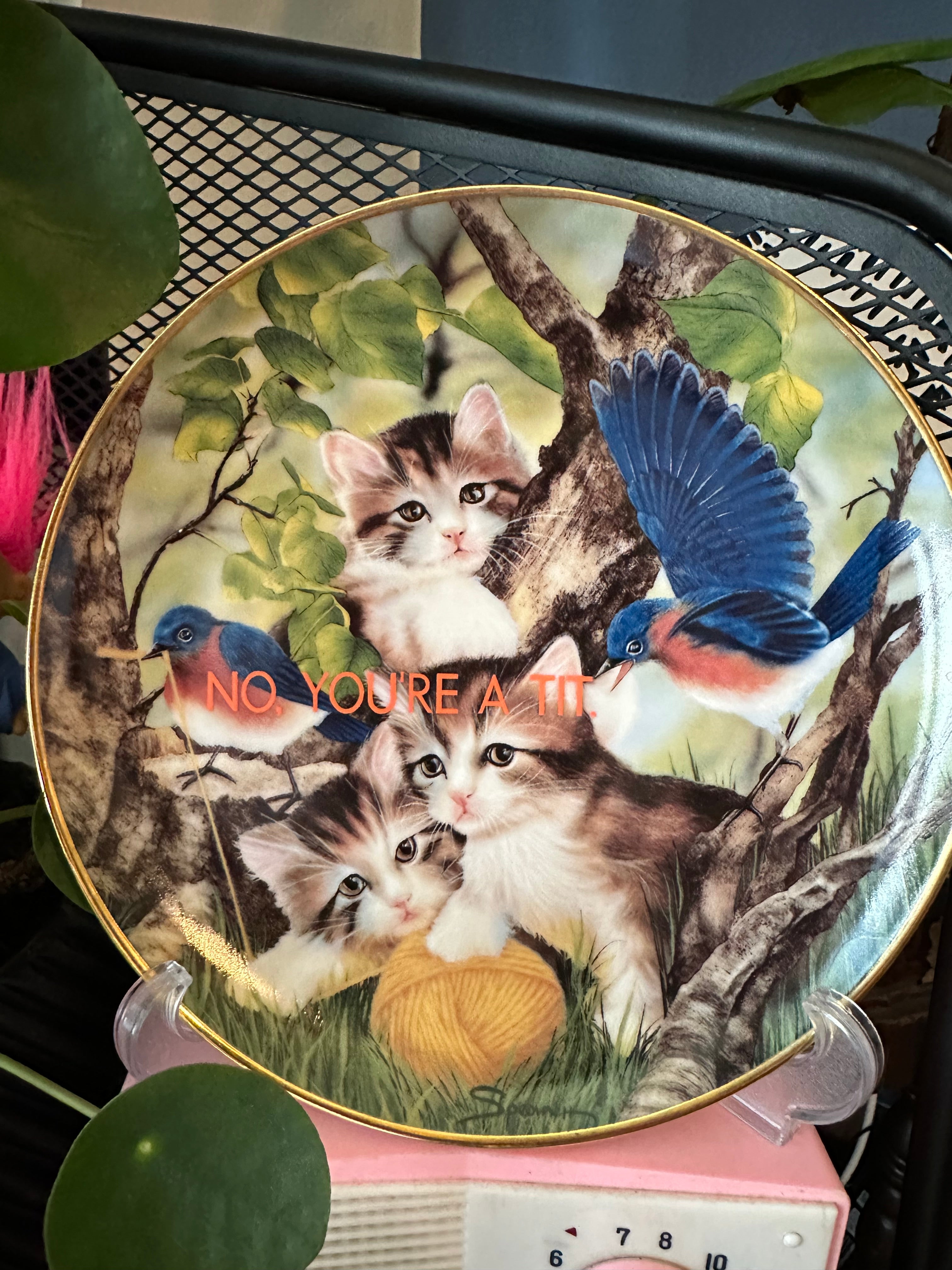 Funny cat & bird decorative plate
