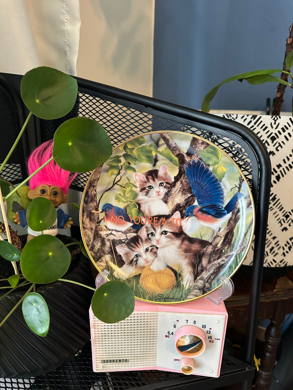 Funny cat & bird decorative plate