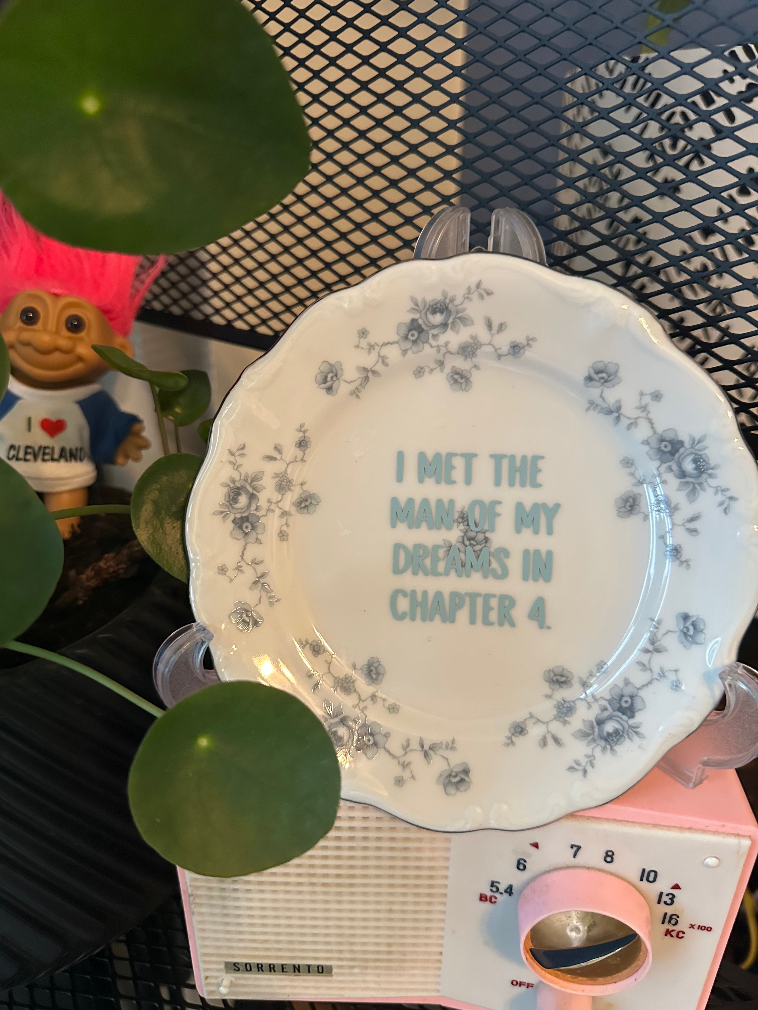 Set of 4 sassy bookish plates
